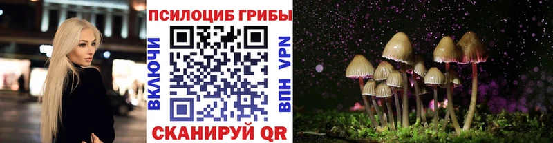 Псилоцибиновые грибы GOLDEN TEACHER  Сосенский 